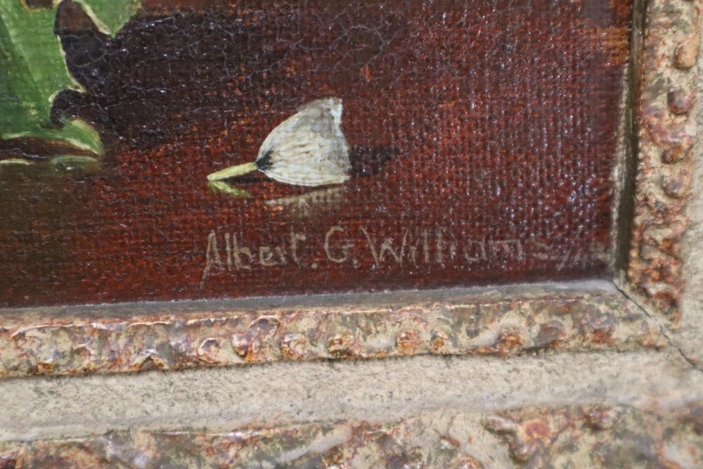 Albert G. Williams, oil on canvas, Still life of flowers in a vase, signed, 30 x 22cm